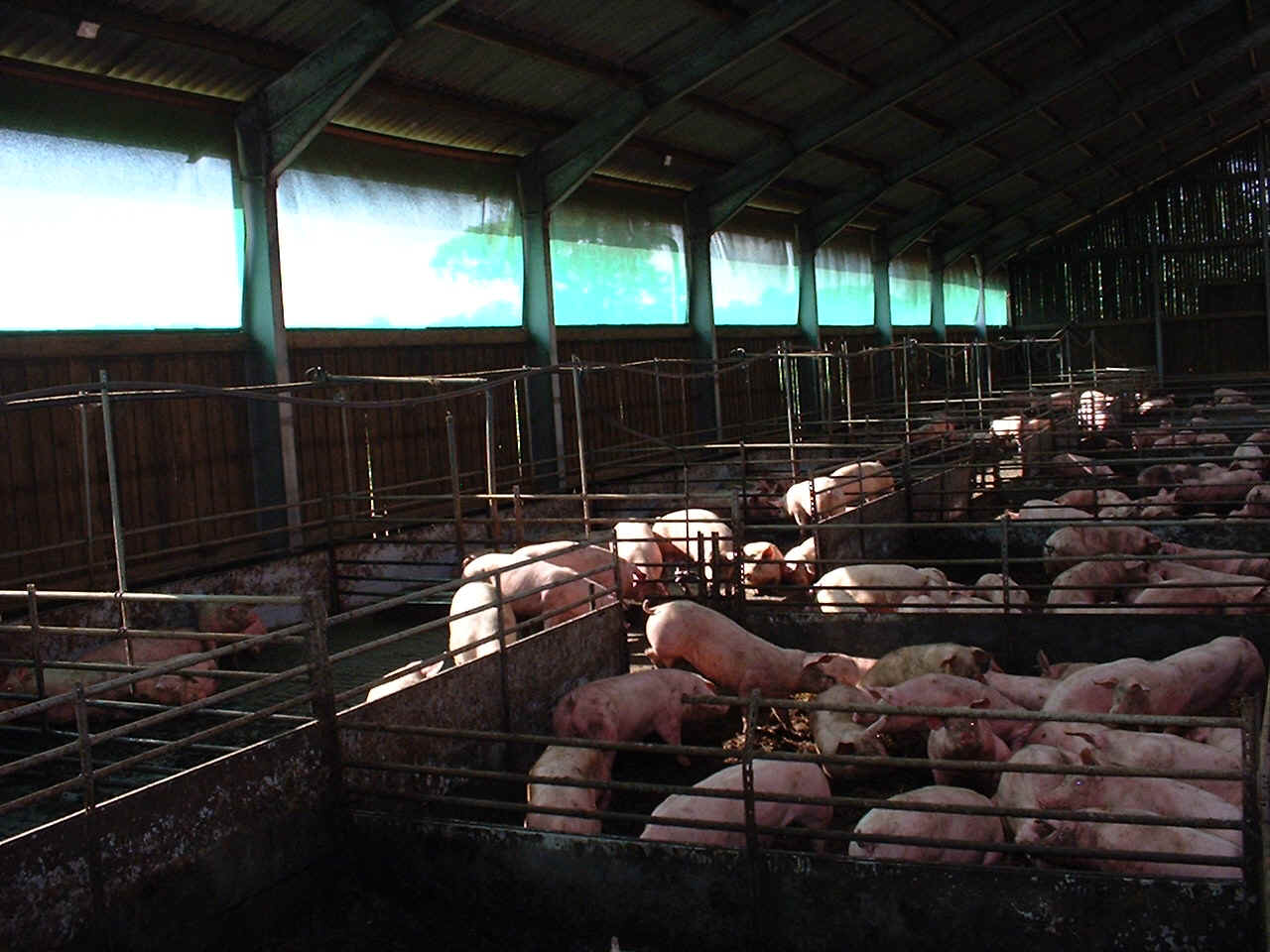 Dscf0014.jpg (309542 Byte)