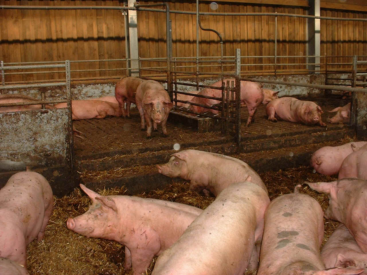 Dscf0016.jpg (324194 Byte)