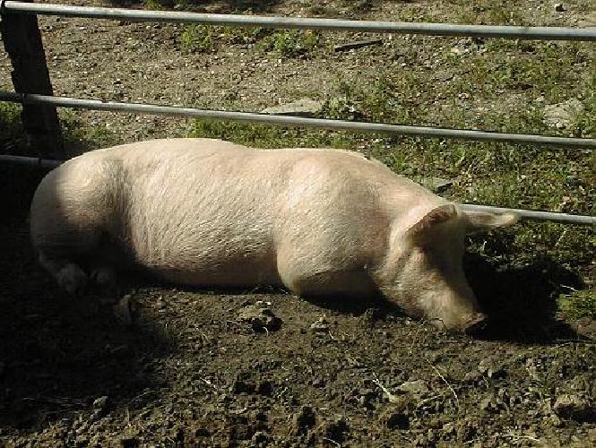 Bild06.jpg (115243 Byte)