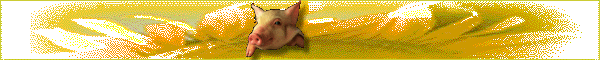 banner.gif (13200 Byte)